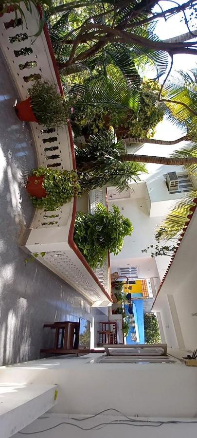 达芙妮酒店 马哈巴利普拉姆 外观 照片