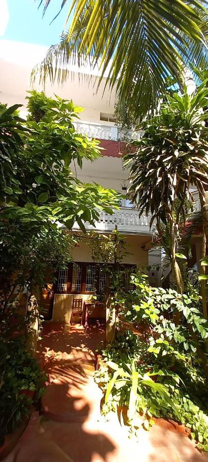 达芙妮酒店 马哈巴利普拉姆 外观 照片